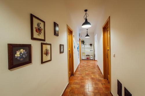 Split Coast Apartment — 4-Star Luxury Hotel in Split, Croatia