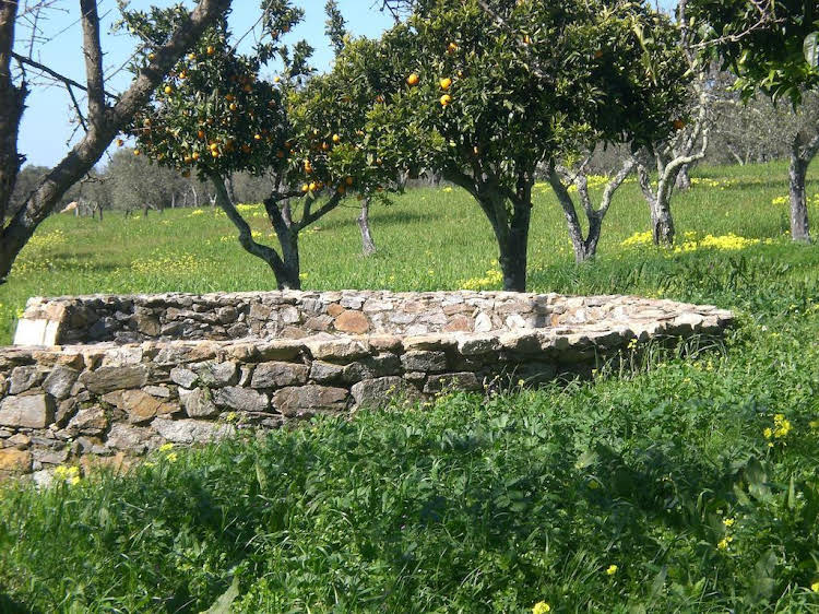 Tapada Da Eira E Chanca - carbon neutral hotel in Fortios