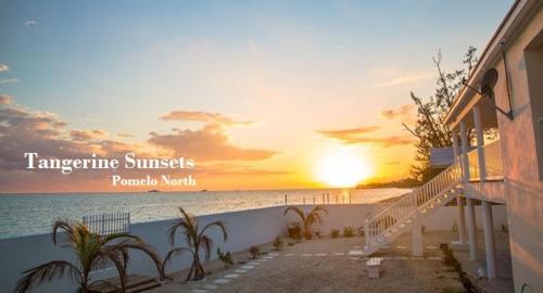 Tangerine Sunsets Pomelo North — Unknown City