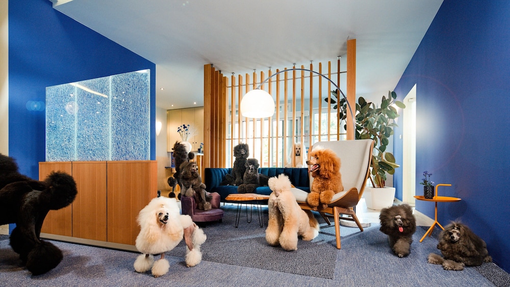 Hotel Kristal — Leverkusen — photo 5