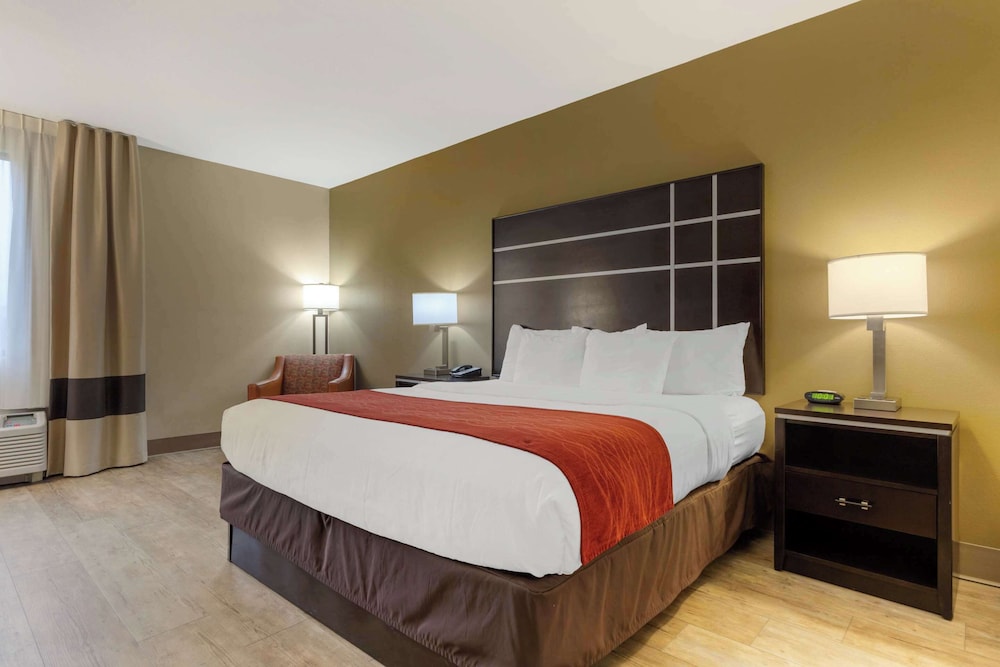 Comfort Inn North of Asheville - photo 35