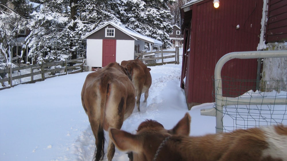 Flint Hill Farm AG - photo 22