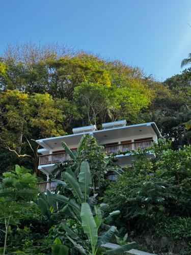 Ciel y Miel in Colon, Panama