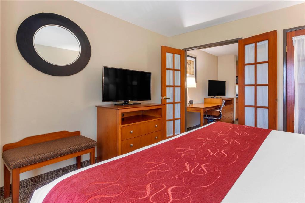 Comfort Suites North Dallas - photo 26