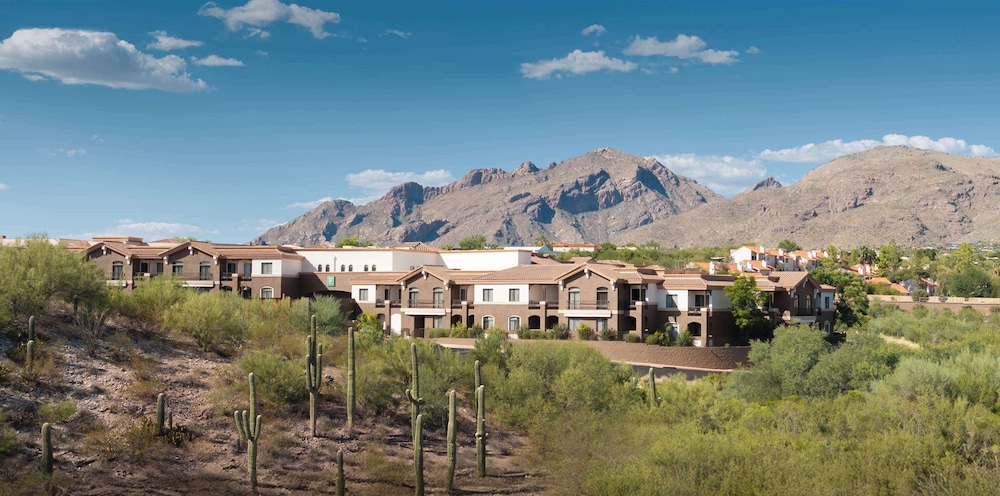 Embassy Suites by Hilton Tucson Paloma Village - photo 36