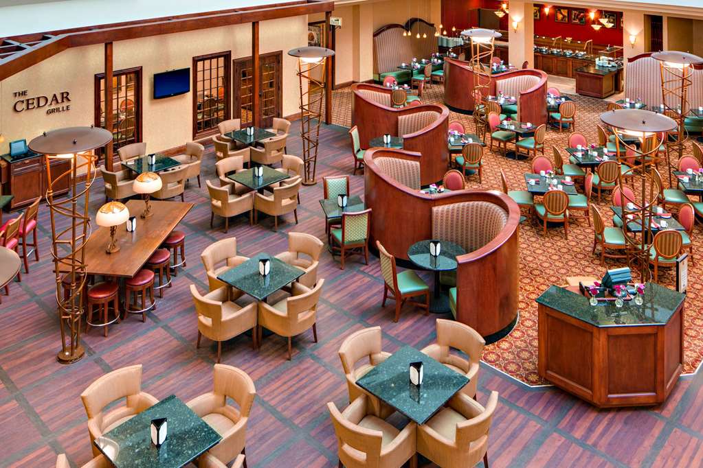 Radisson Hotel Cedar Rapids - photo 4