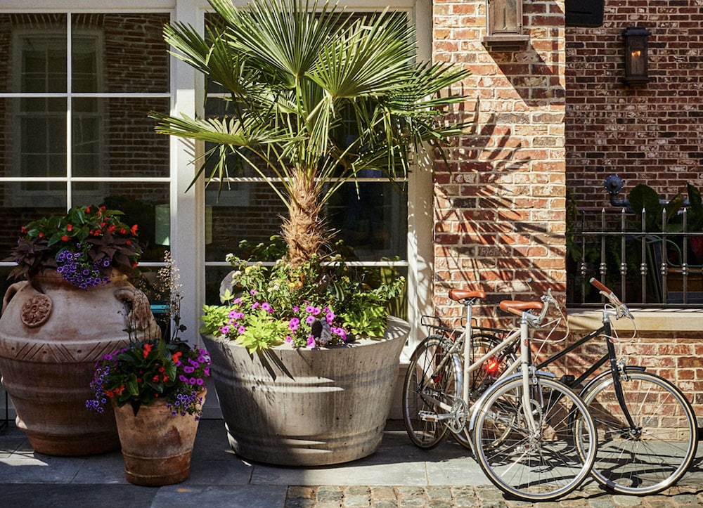 The Pinch Hotel - photo 43