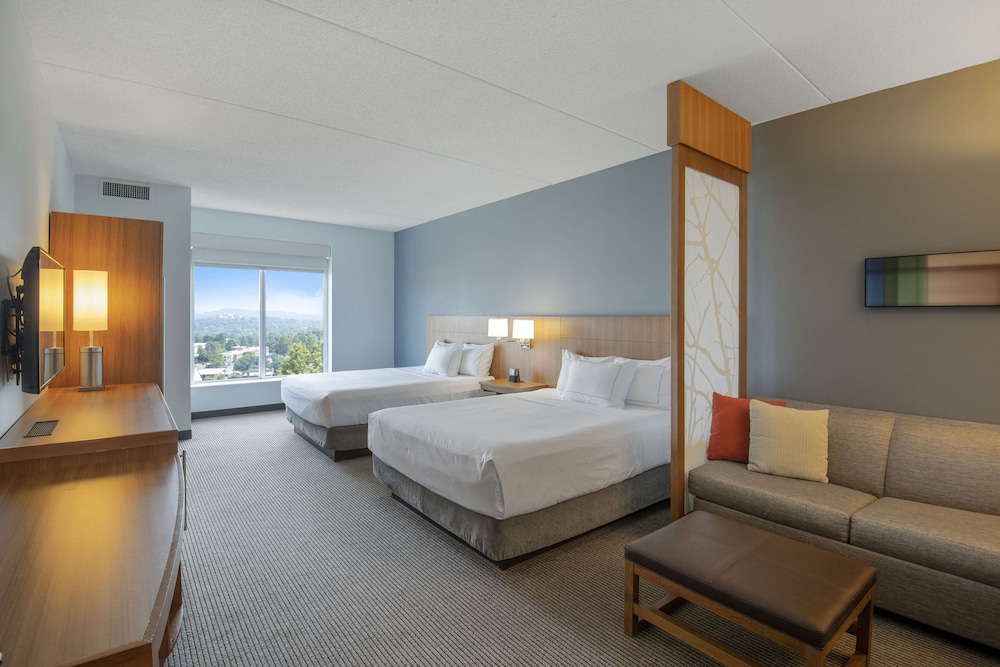 DoubleTree by Hilton Asheville Downtown - photo 36