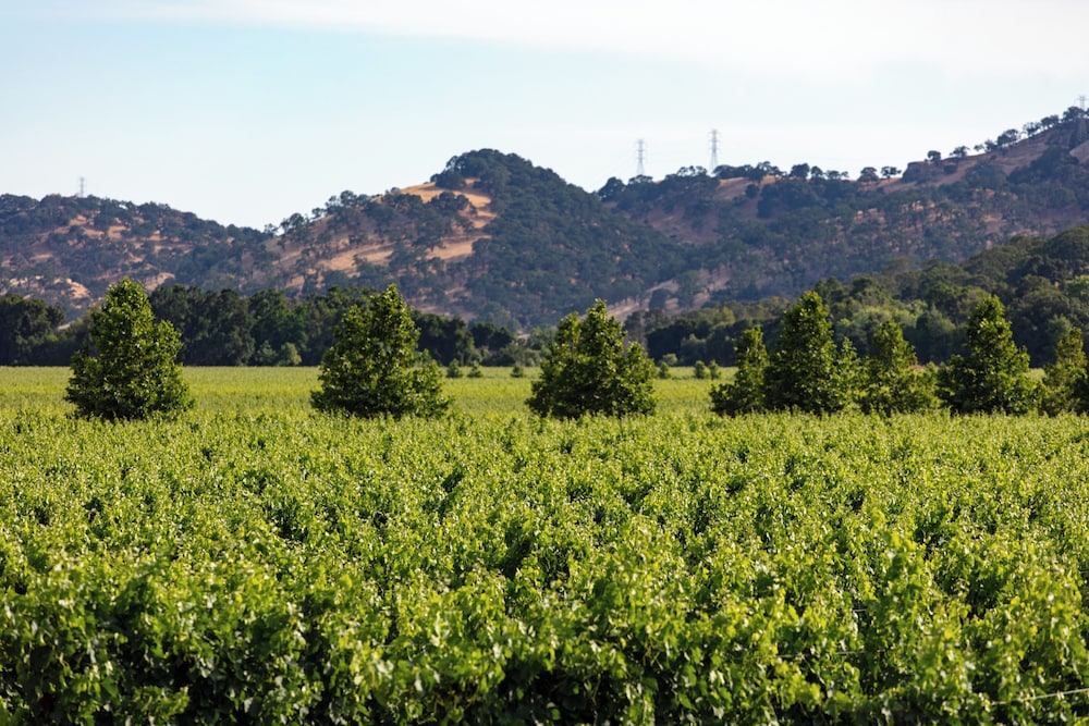 Homewood Suites by Hilton Fairfield Napa Valley Area - photo 26