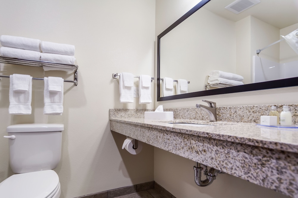 Cobblestone Inn & Suites Fremont - photo 30