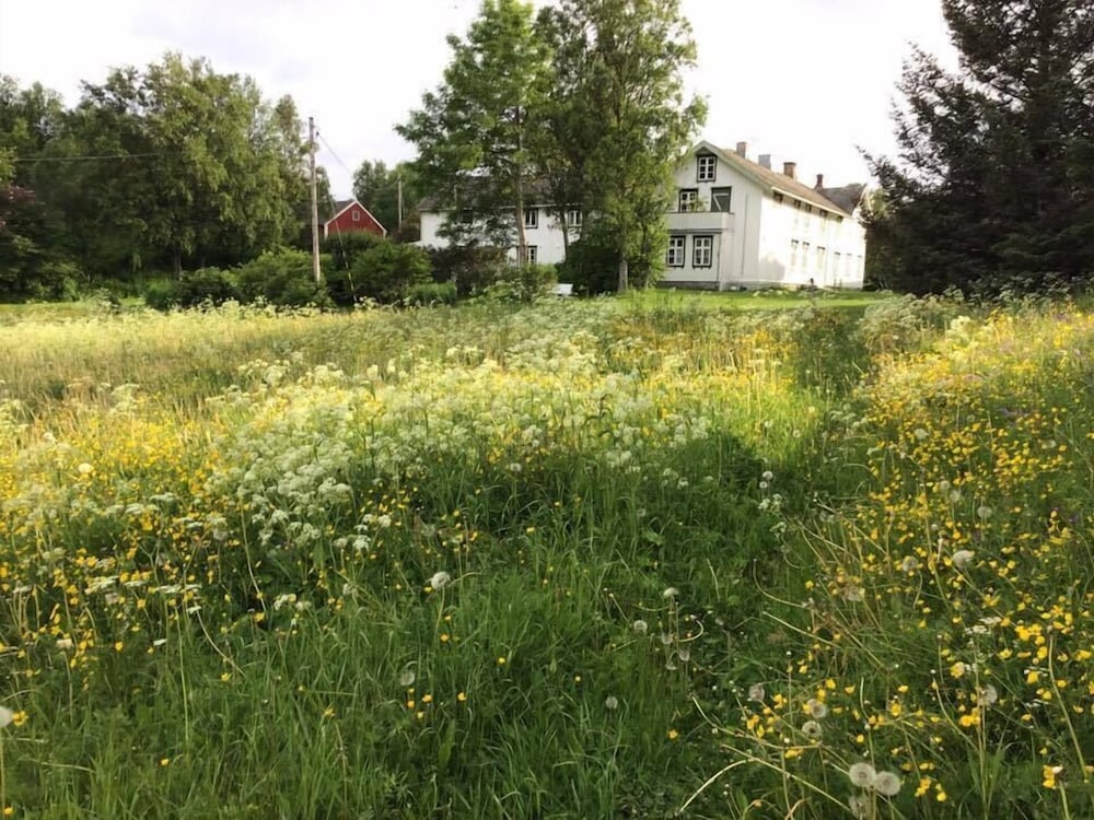 Skagen Gaard — Bodo — photo 4
