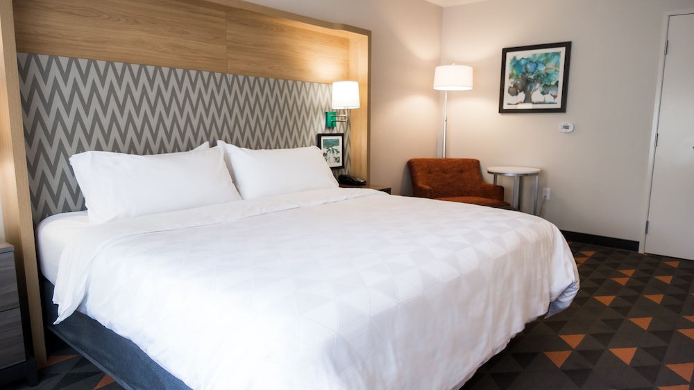 Holiday Inn and Suites Philadelphia W Drexel Hill - photo 27