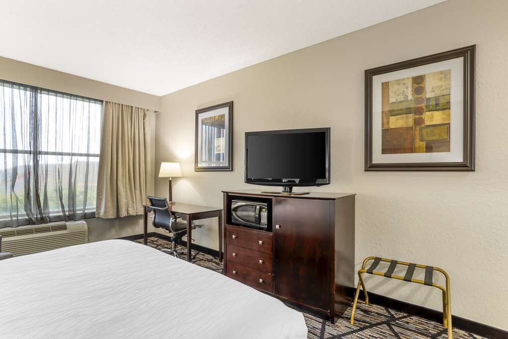 Best Western Plus Hobby Airport Inn & Suites - photo 12