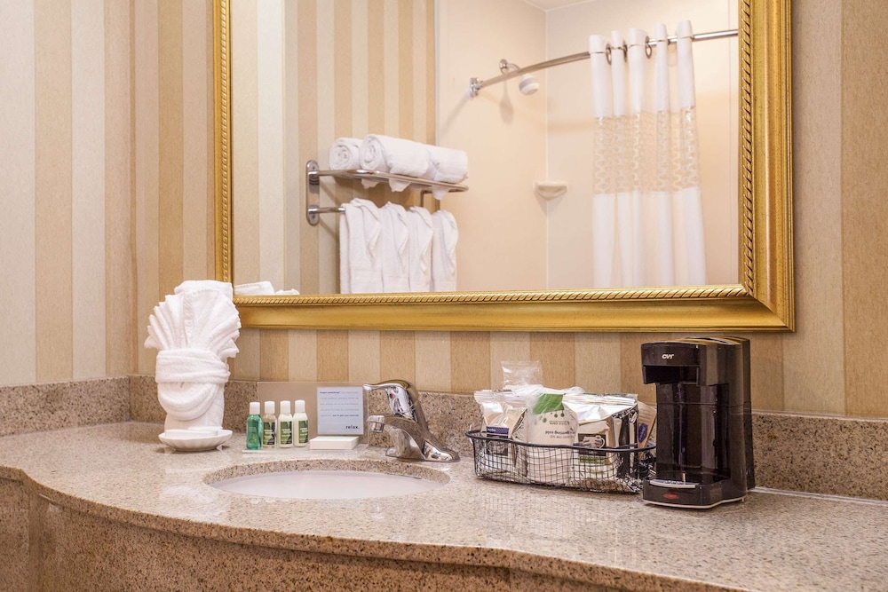 Hampton Inn & Suites Addison - photo 14