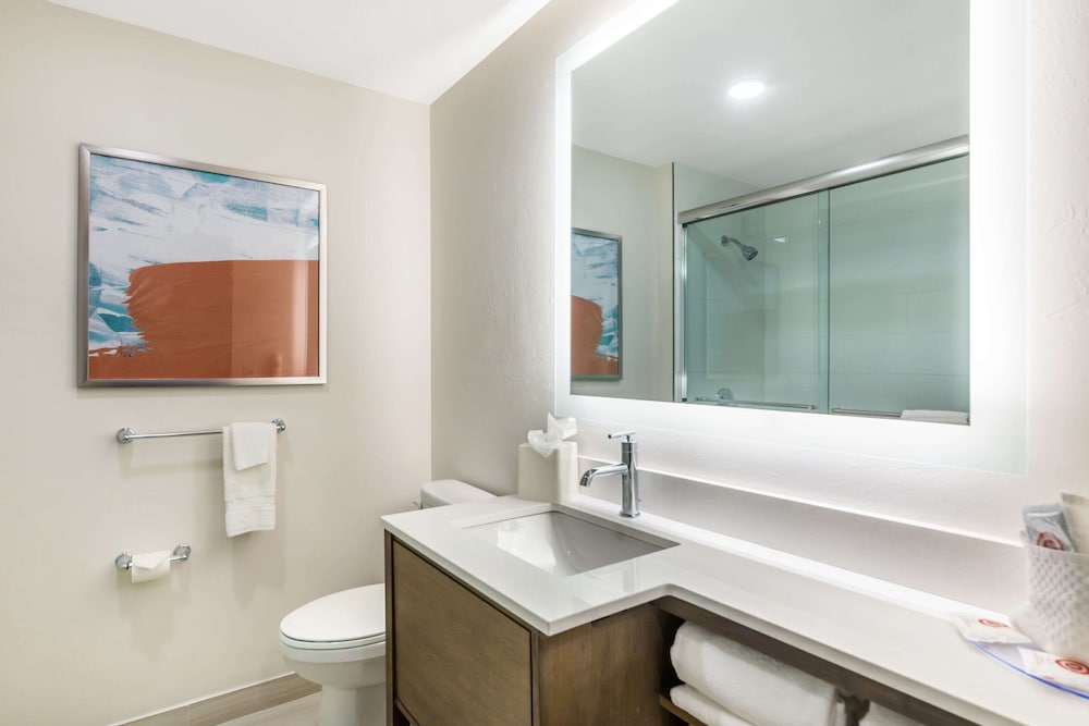 Comfort Suites Fort Myers East I 75 - photo 5