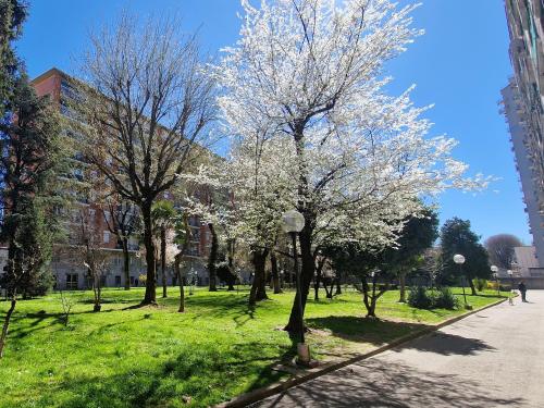 Giardino Sul Naviglio — 4-Star Luxury Hotel in Milan, Italy