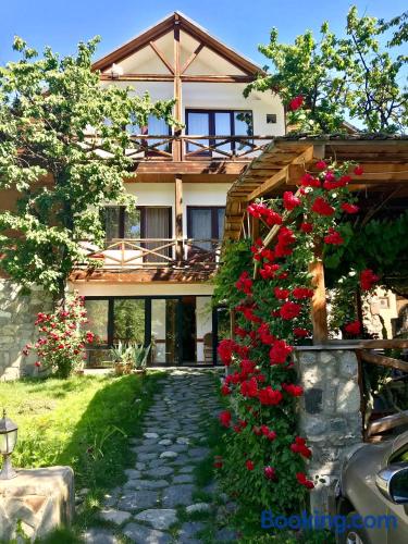 Hotel Chubu in Mest'ia, Georgia