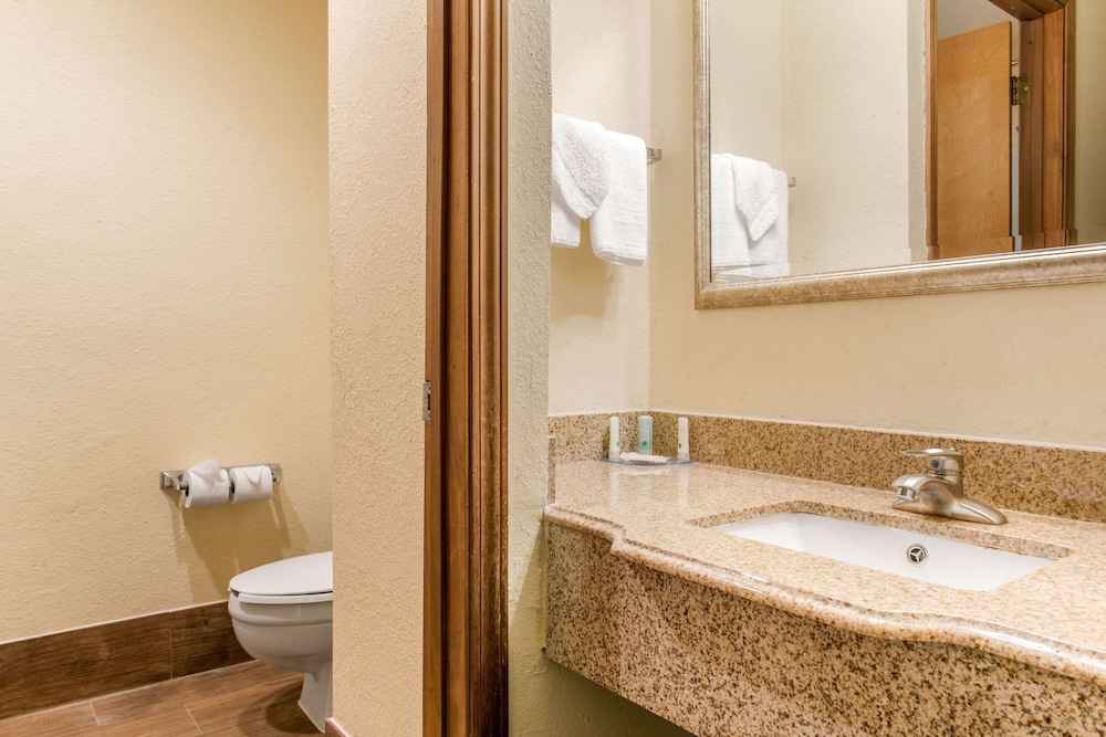 Quality Inn & Suites Miamisburg - photo 25