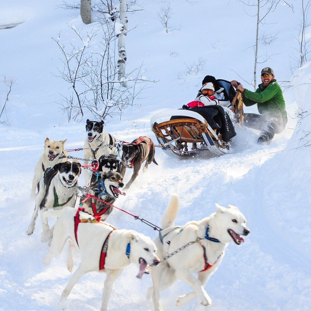 Snowmass Village by Gondola Resorts - photo 73