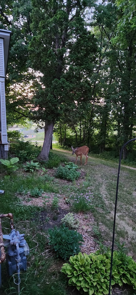 Oaklawn Inn Llc - photo 77