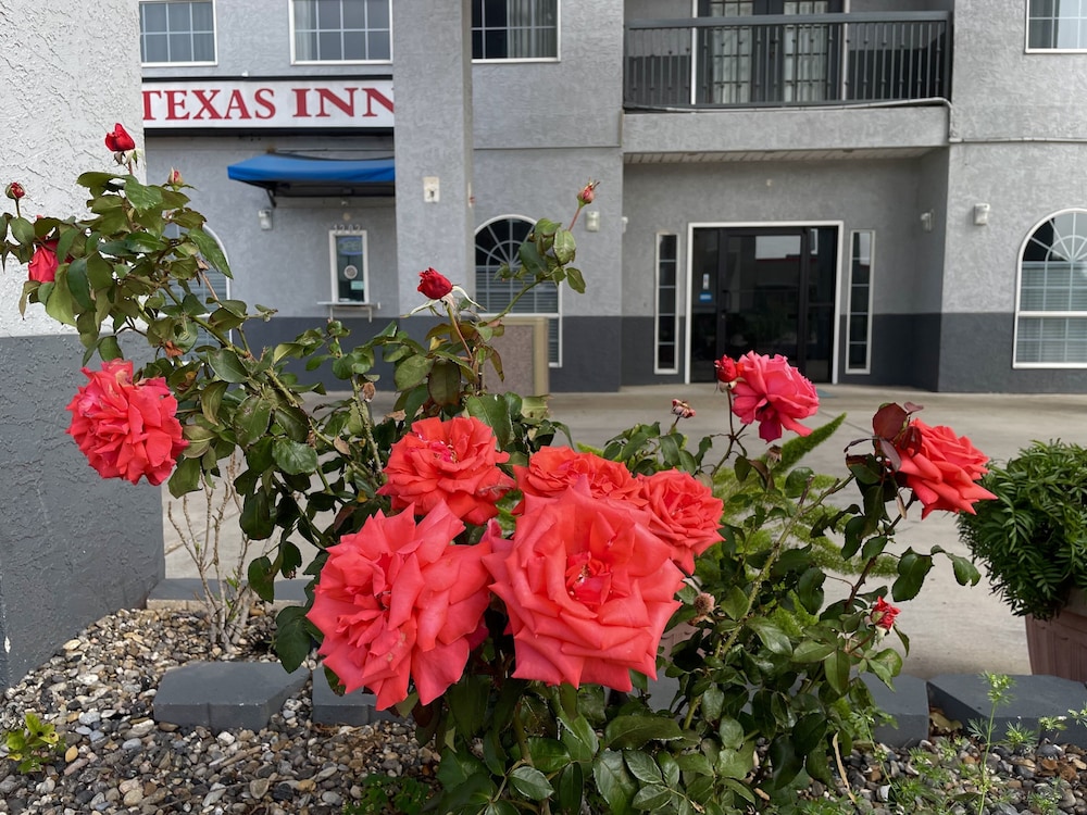 Texas Inn La Feria - featured photo