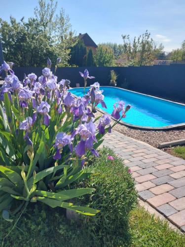 Manna Apartman — 4-Star Luxury Hotel in Fonyod, Hungary