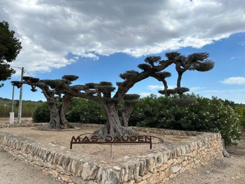 Mas Dauden in Tortosa, Spain
