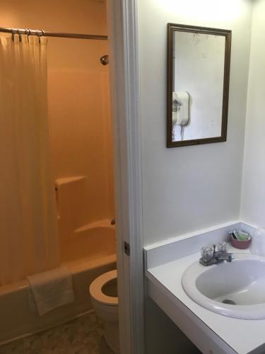Four Seasons Motor Inn - photo 20