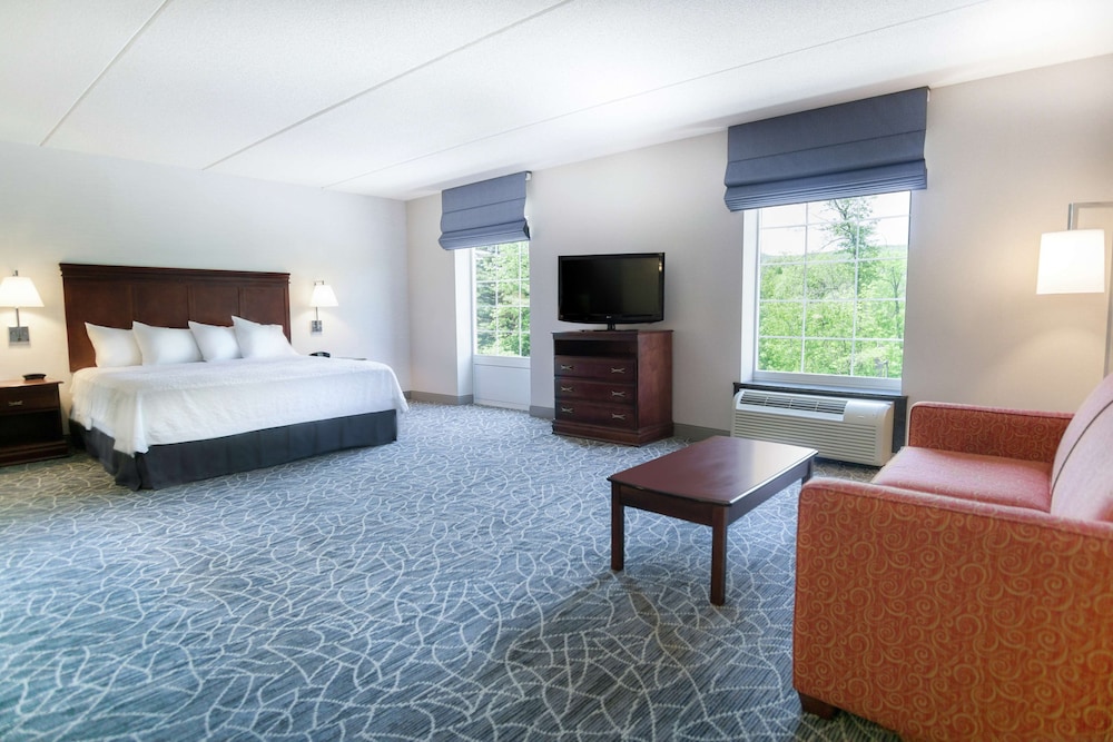Hampton Inn & Suites Berkshires Lenox - photo 25