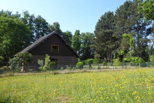 Ferienhaus an der Borner Mühle — hotel in Bruggen