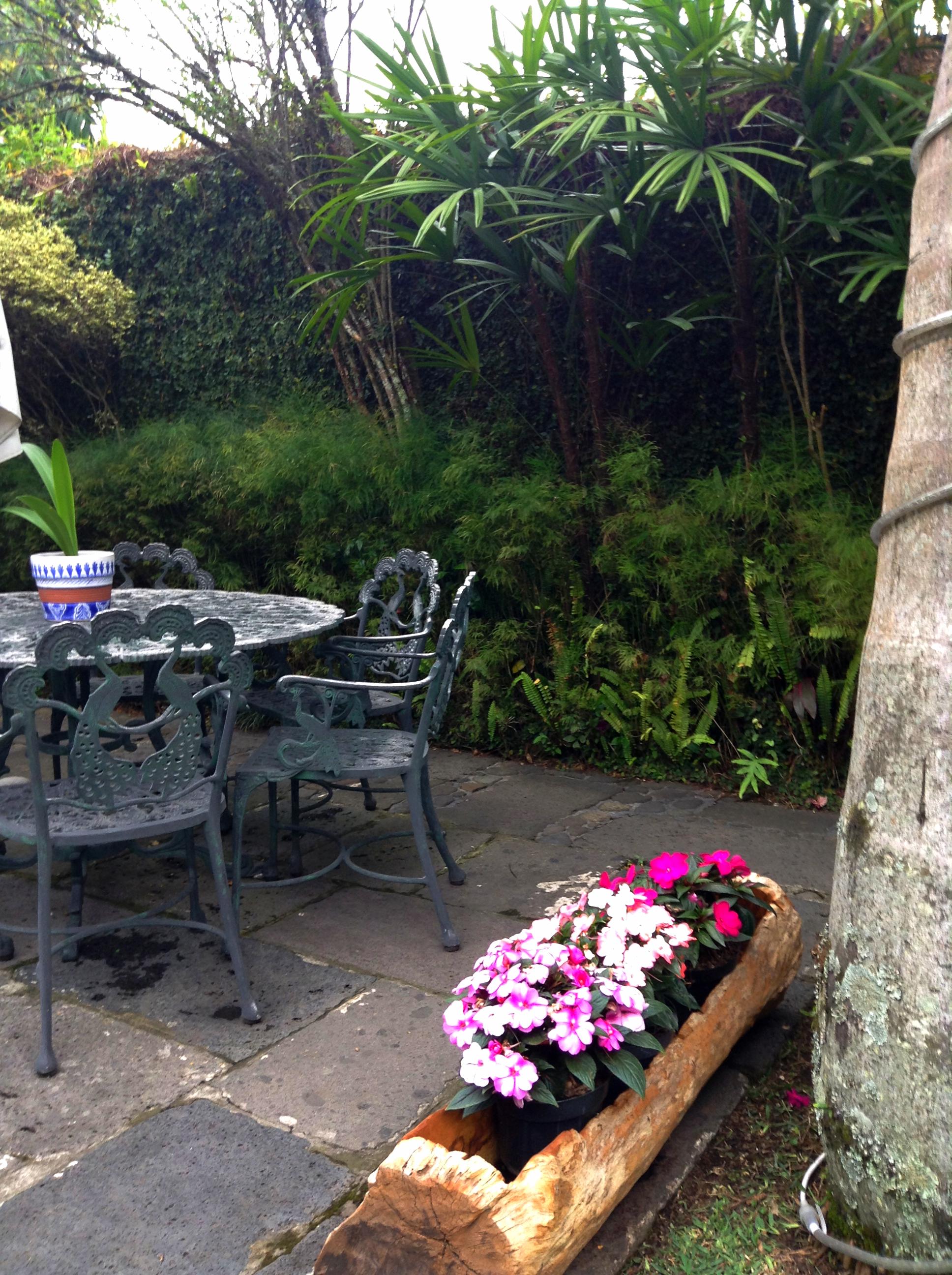 Hotel Boutique Casabella Coatepec — Coatepec — photo 4