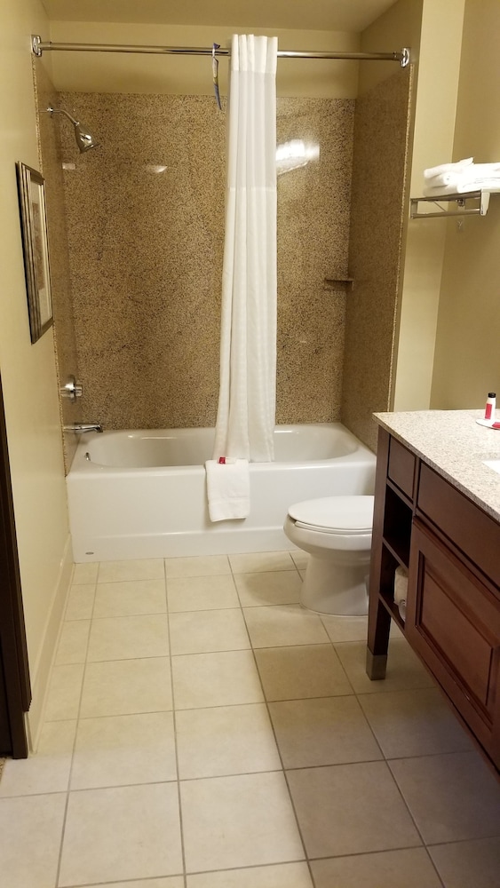 City Express by Marriott Tempe - photo 56