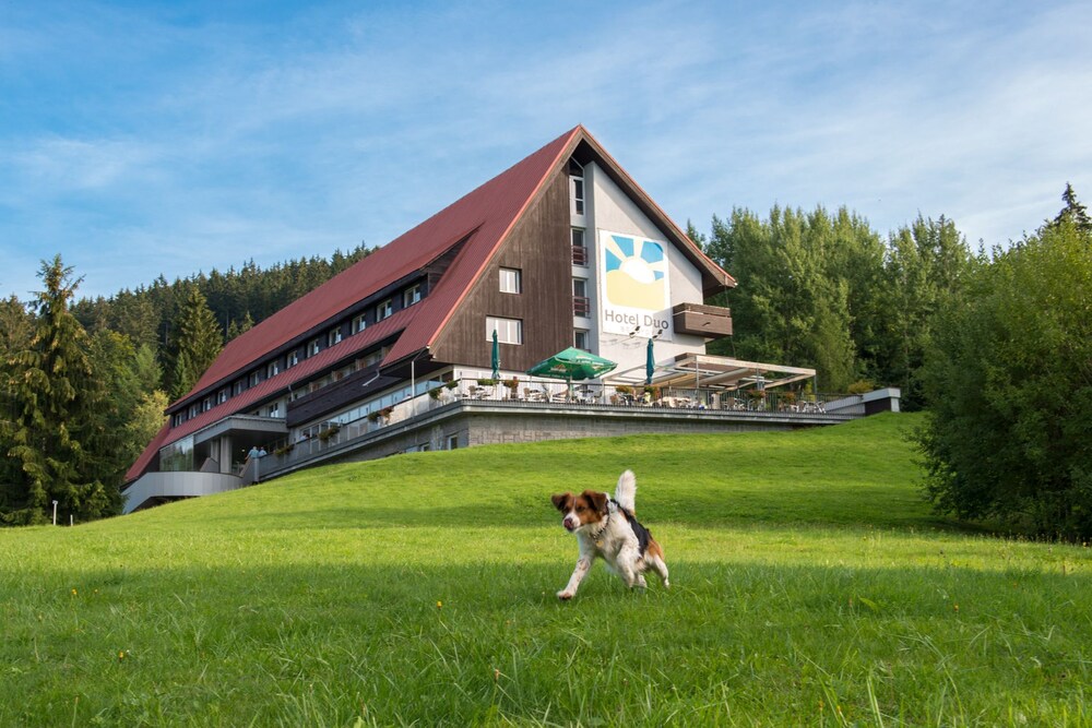 Hotel Duo in Horni Becva, Czech Republic