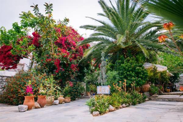 Greco Hotel - carbon neutral hotel in Ydra