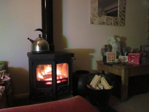 Shaptor Studio — Bovey Tracey — photo 5