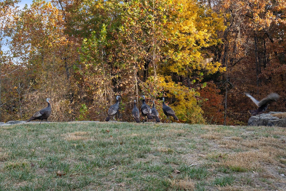 Rock Canyon Resort Trio - photo 16