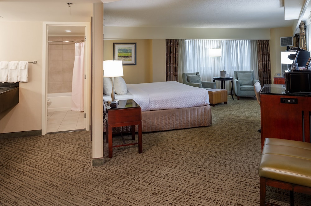 Crowne Plaza St. Louis Airport by IHG - photo 18