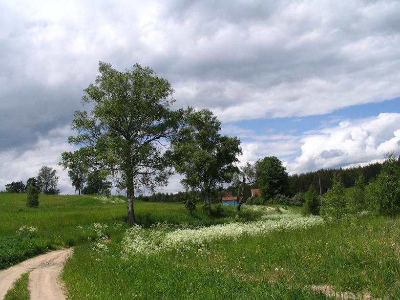 Pod Tulipanem Nad Jeziorem — Kruklanki — photo 3
