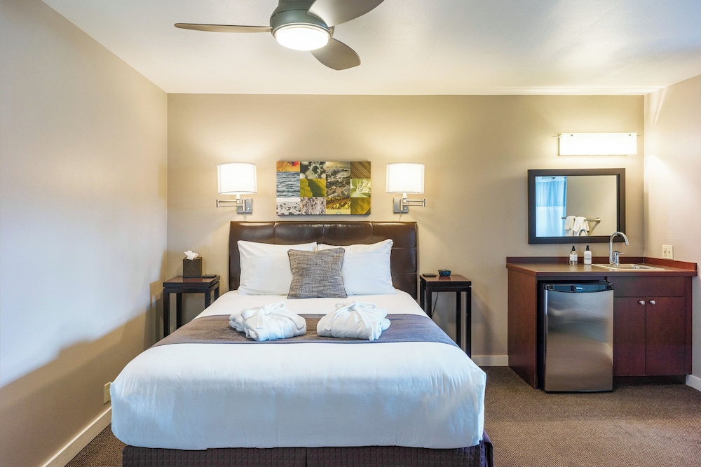 Bird Rock Hotel - photo 20