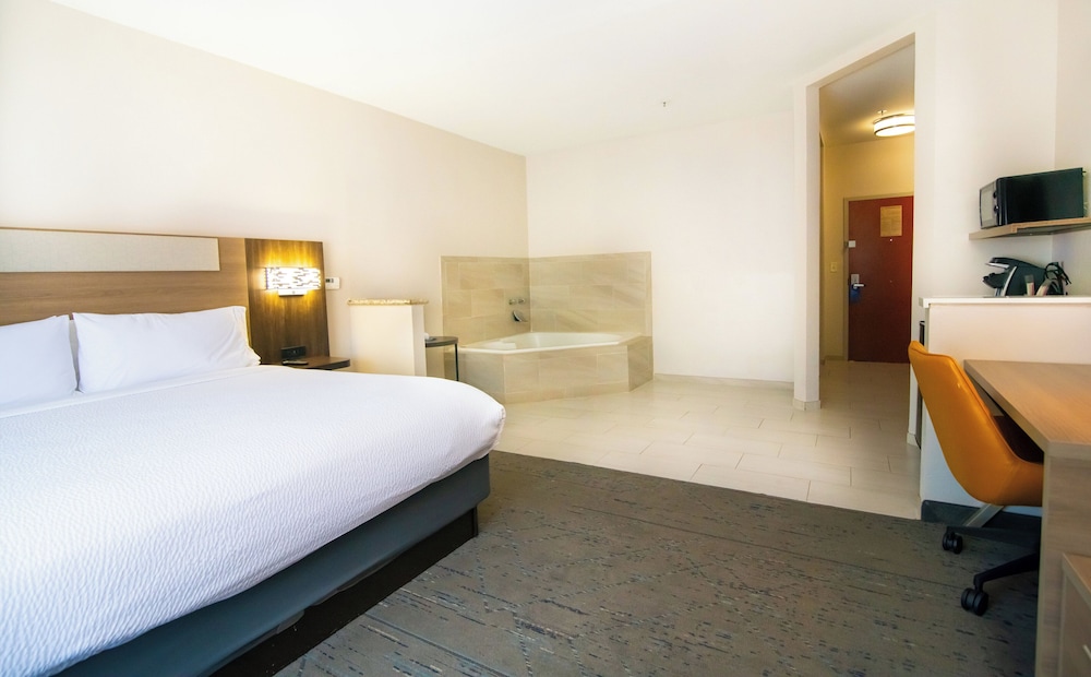 Holiday Inn Express & Suites College Station by IHG - photo 29