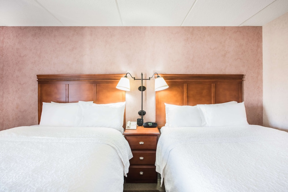Hampton Inn West Springfield - photo 20