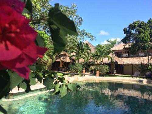 La Villa Mexicana by Diving Prestige — 4-Star Luxury Hotel in Tulum, Mexico