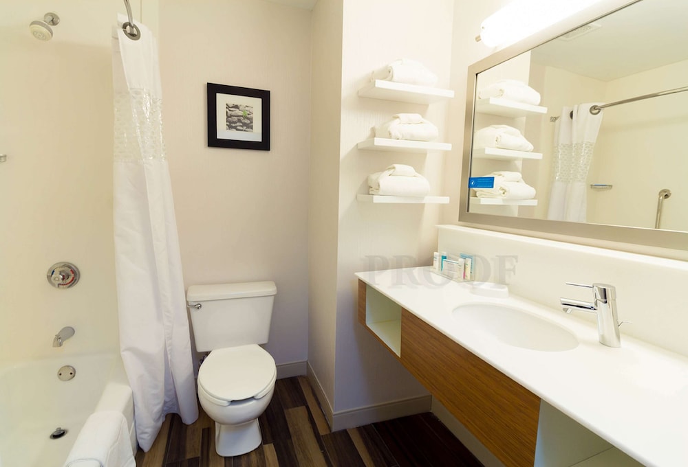 Hampton Inn Sevierville - photo 24
