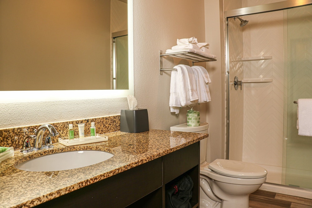 Holiday Inn Clarkston Lewiston by IHG - photo 28