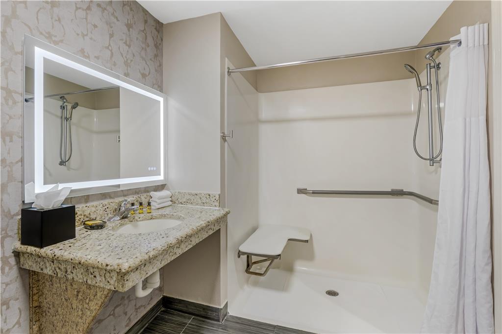 Best Western Plus Sanford Airport Lake Mary Hotel - photo 14