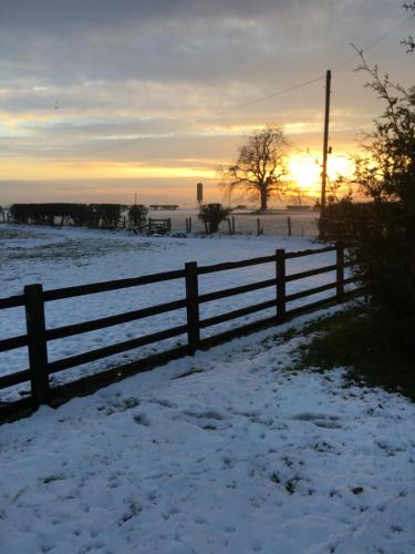 Oscar Park Farm