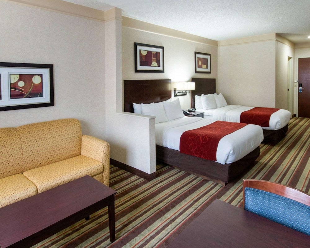 Comfort Suites Parkersburg South - photo 19