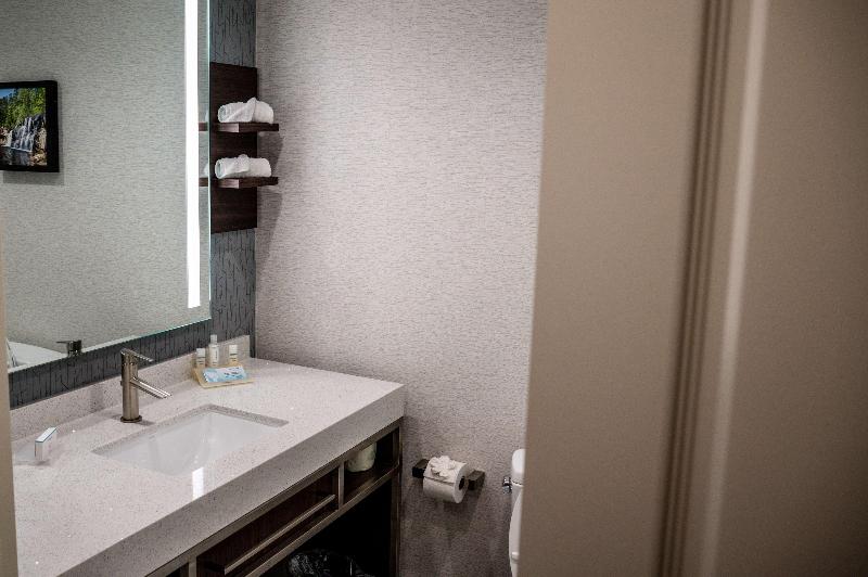 Hilton Garden Inn Fayetteville Fort Bragg - photo 178
