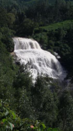 Oak Valley Resorts — Ooty — photo 2