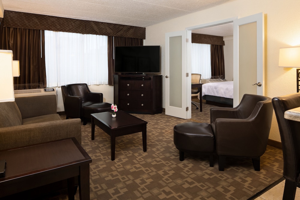 Holiday Inn Hotel & Suites Charleston West by IHG - photo 18